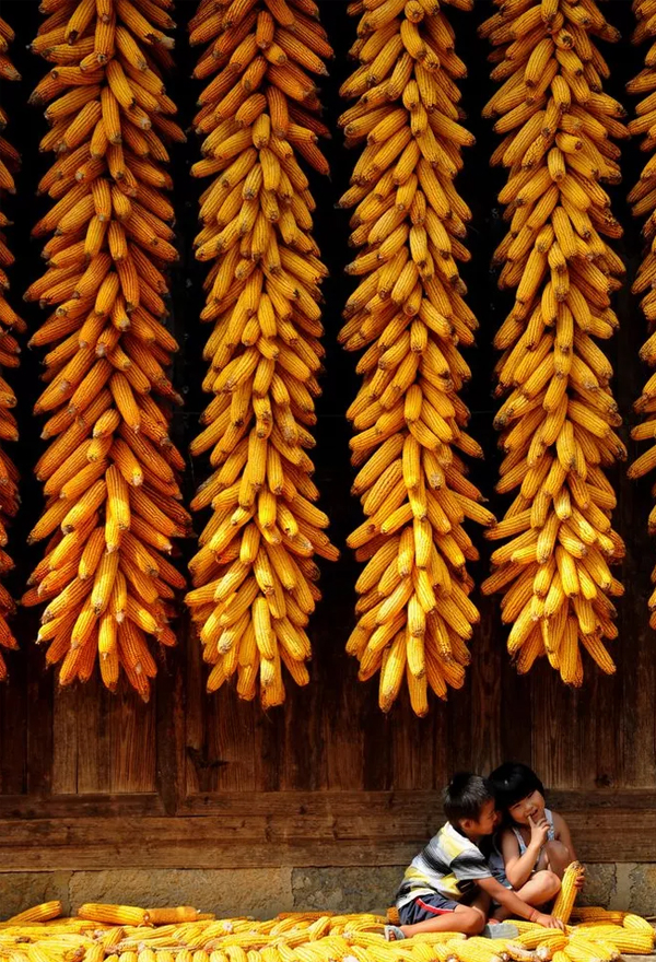 1606723775426637.jpg 黃色.jpg