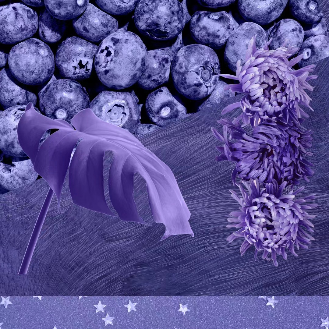 1644901996992476.jpg 8ecfff67417d6421729b5d5f00a6e8d.jpg