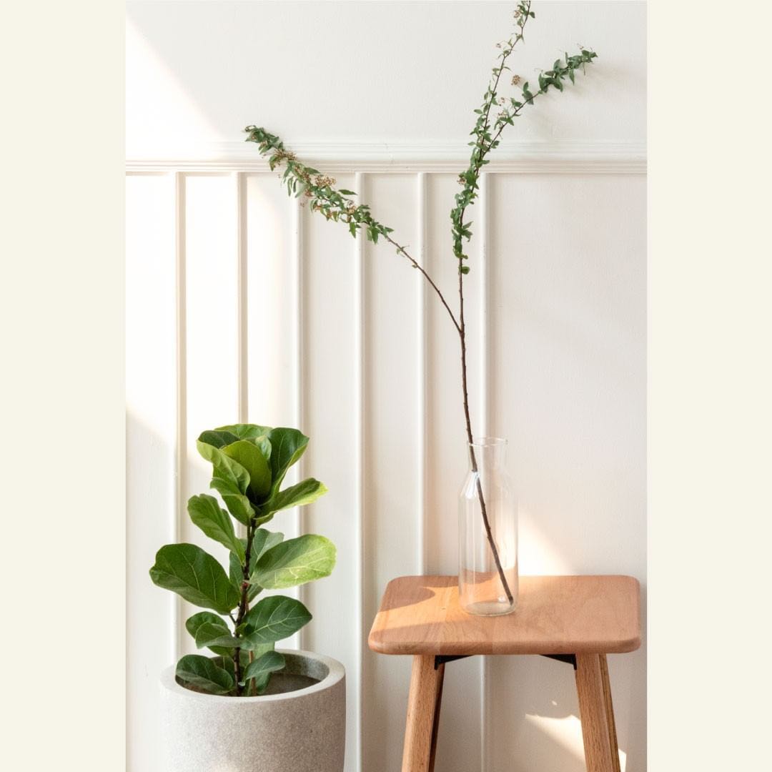 1644902139652021.jpg 53ffe8aeb46e3bf6336232a67279799.jpg