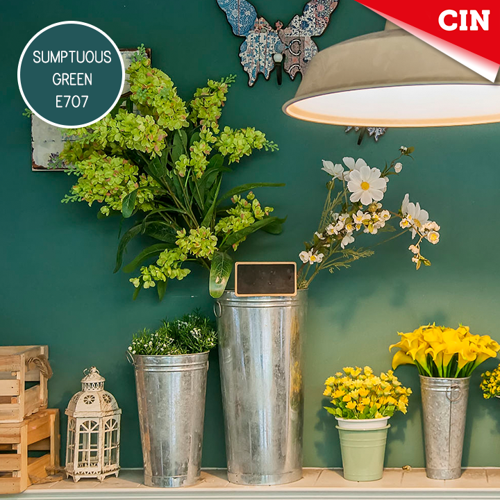 1656641372634712.png 16649052_1796141247318277_6385029691518980125_n.png