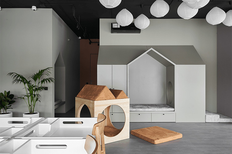 1686885972547944.jpg 19.jpg