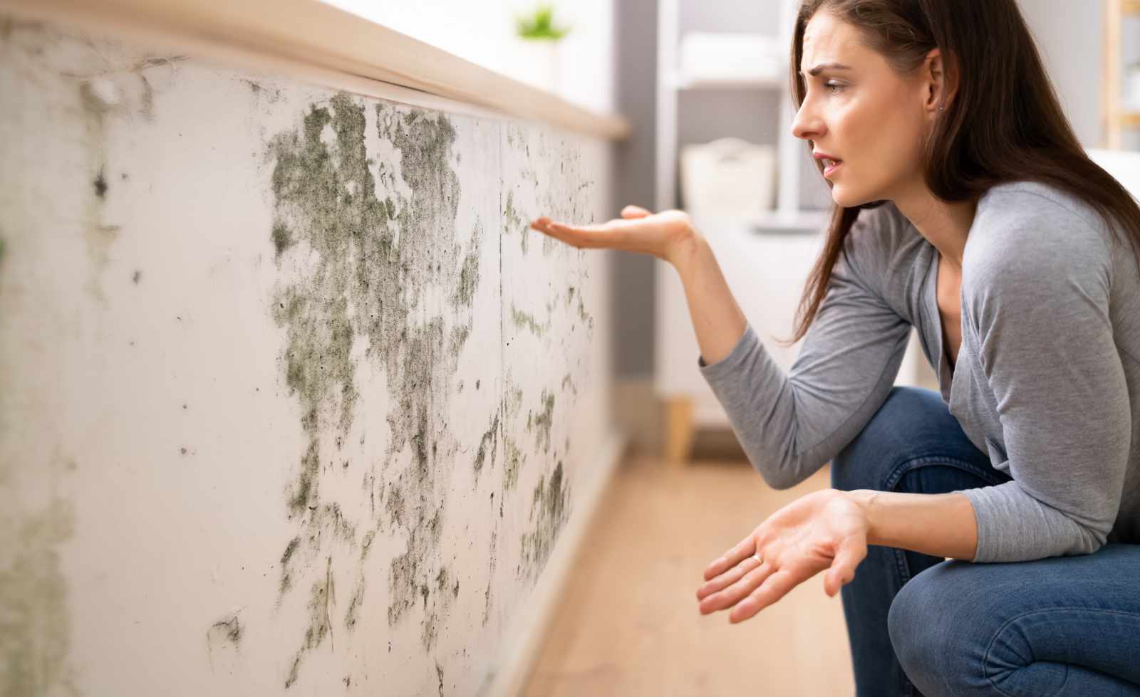 1744862408100684.jpg CIN西恩歐洲原裝進口改色漆 (9).jpg